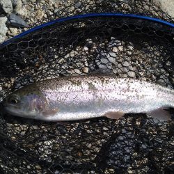 濁りの強さに苦戦